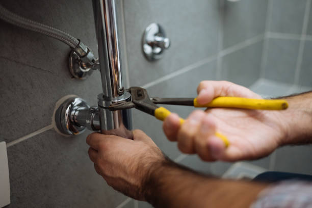 Best Sprinkler Systems  in Hugo, MN