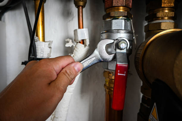 Best Affordable Plumbing Services  in Hugo, MN